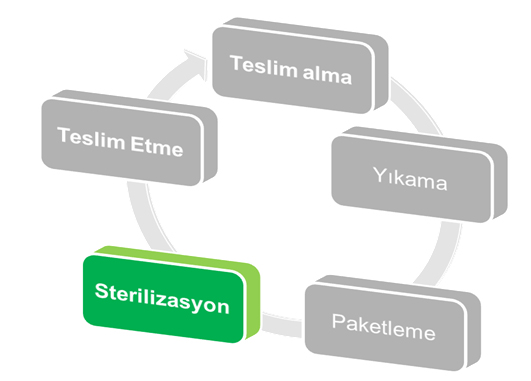 Sterilization monitoring system