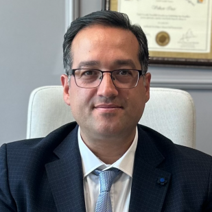 Prof. Dr. Volkan İNCE